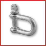 Dee Shackles